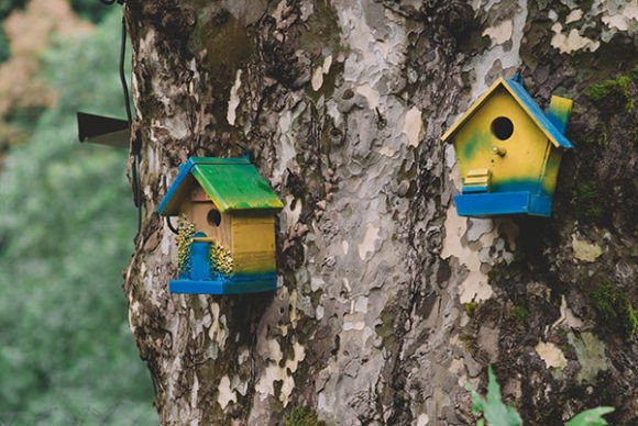 Colorful Wooden Birdhouses: A Beautiful Addition to Your Garden and Nature