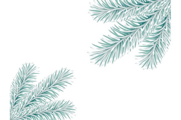 Lightgreen Fir Tree Branch: Elevating Digital Design with Fresh, Natural Aesthetics