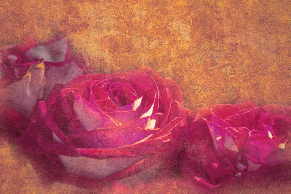 Red Roses Bouquet Grunge: A Strategic Tool for Modern Creativity and Branding